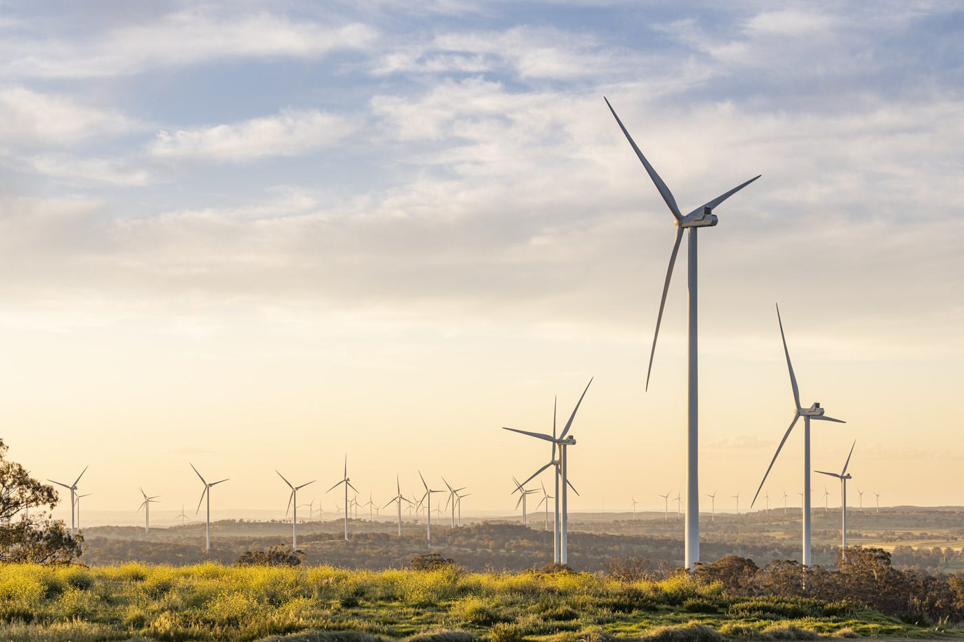 Industrial Photography of wind farm